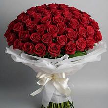 101 Красная роза Блэк Мэджик в Темиртау Букет 101 Красная роза Блэк Мэджик в Темиртау