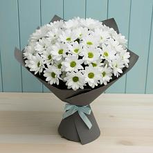 Букет белые хризантемы в Темиртау Букет цветов из: Хризантемы в Темиртау