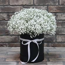 Композиция коробка гипсофил в Темиртау Цветочная композиция из Гипсофила в шляпной коробке в Темиртау